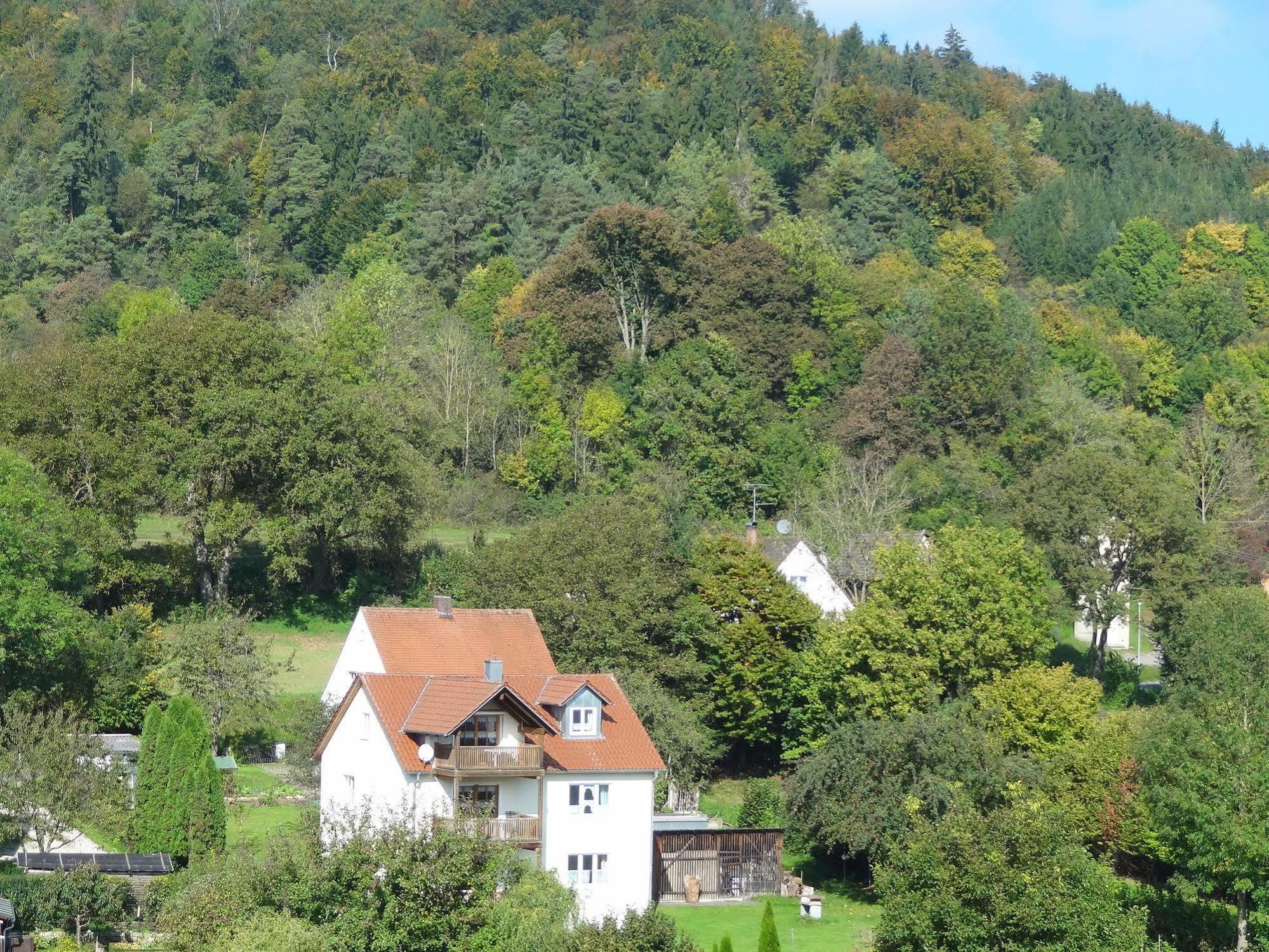 Donauer Im Altmuehltal - Ferienwohnungen Biberbach  Exterior photo