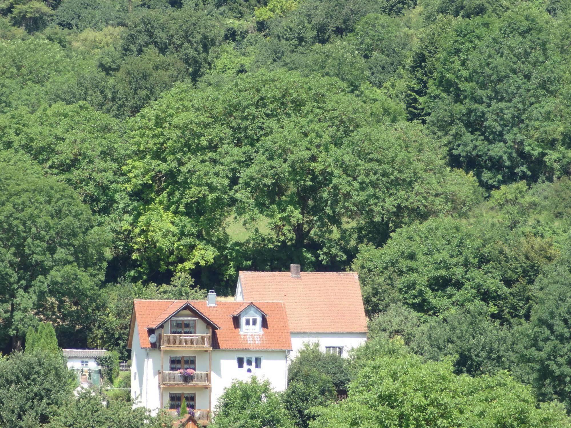 Donauer Im Altmuehltal - Ferienwohnungen Biberbach  Exterior photo